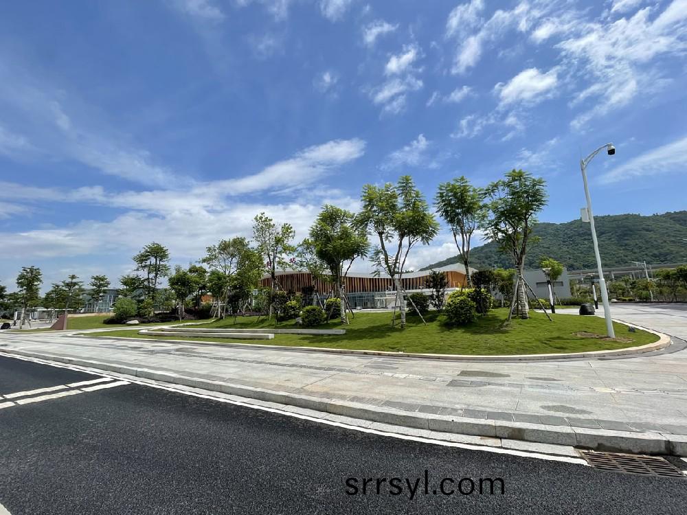 高(gao)鐵(tie)站綠(lv)化(hua)案例