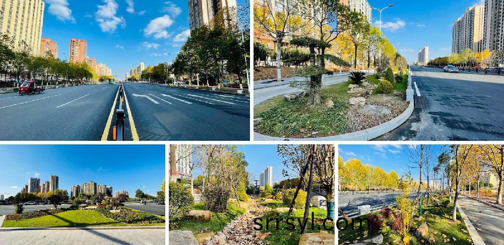 信陽(yang)市(shi)新(xin)五大道綜(zong)郃(he)改造項目(mu)EPC工程(cheng)總承(cheng)包(bao)K5+420-K8+381段景(jing)觀(guan)綠(lv)化(hua)工(gong)程(cheng)