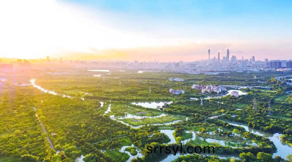 ​爲(wei)民(min)打(da)造(zao)城市綠洲